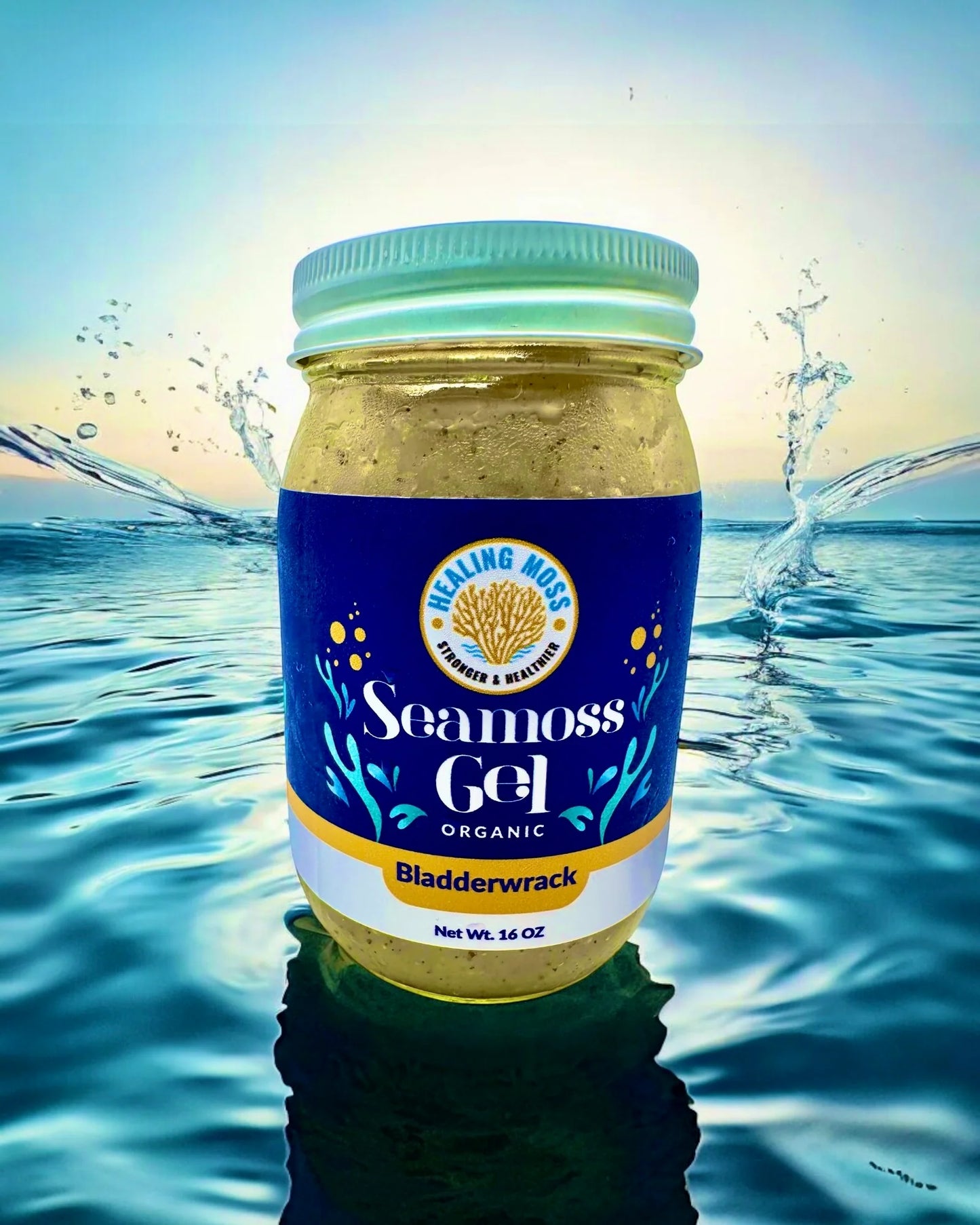 HEALING MOSS Sea Moss Gel - Bladderwrack