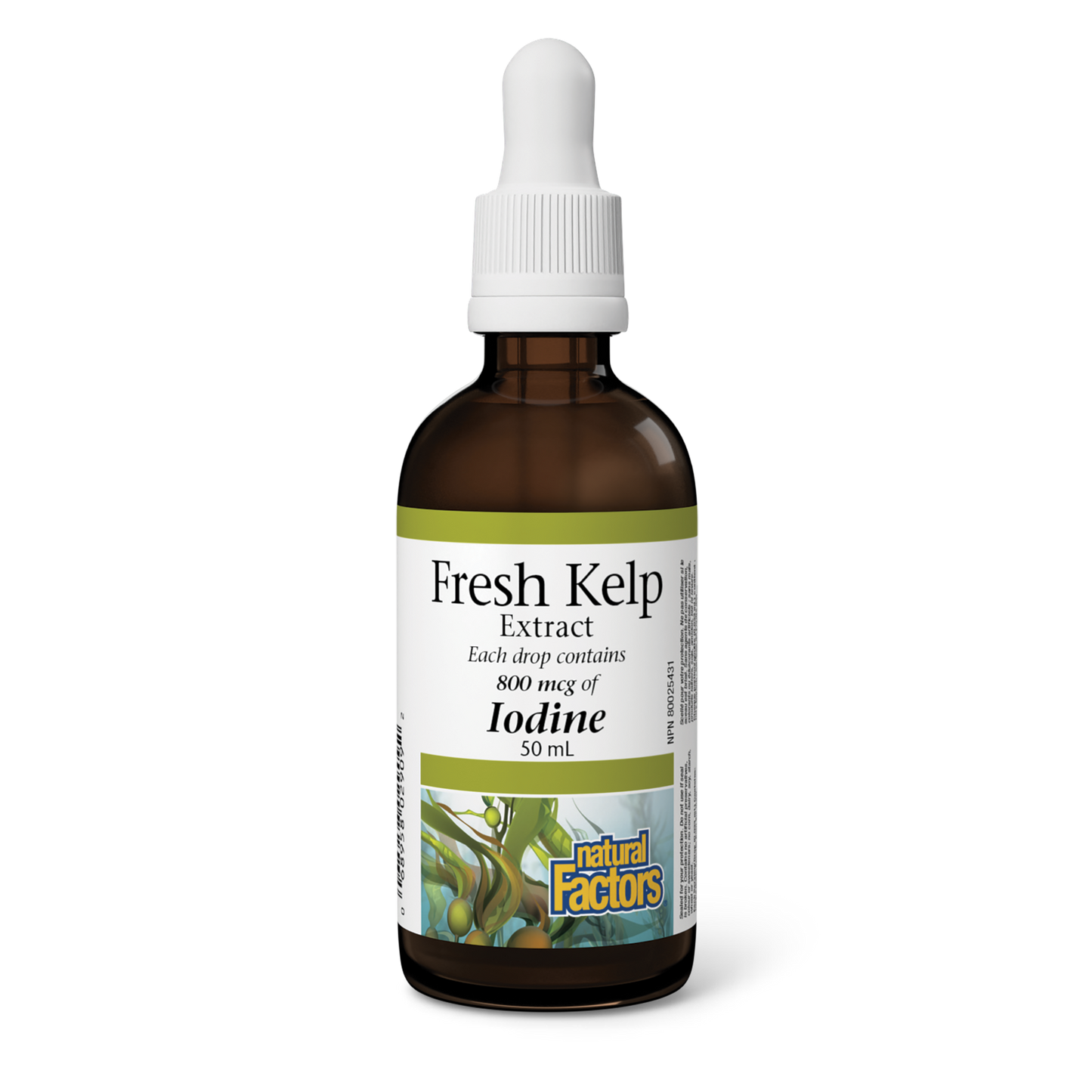 NATURAL FACTORS Kelp Extract (50mL)