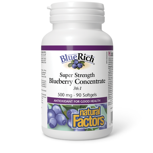 NF BLUERICH BLUEBERRY CONCENTRATE 500MG 90'S