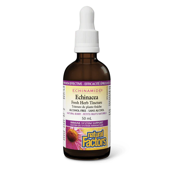 NATURAL FACTORS Echinacea Tincture  (Berry - 50ml)