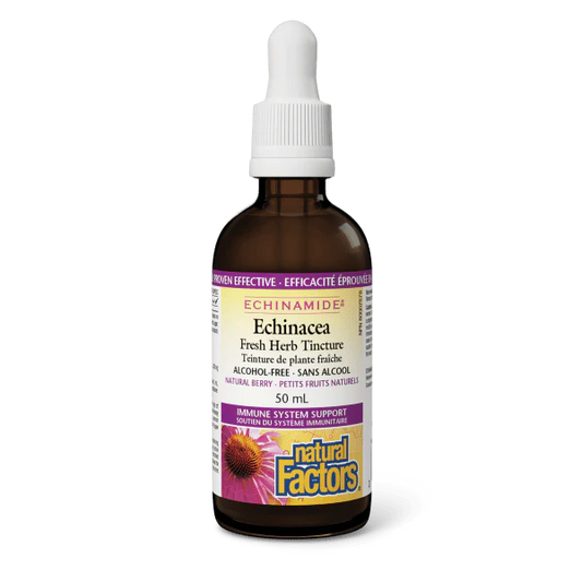 NATURAL FACTORS Echinacea Tincture  (Berry - 50ml)