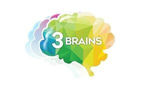 3 BRAINS