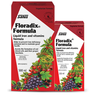 SALUS Floradix Formula BONUS PACK (500 mL + 250 mL)