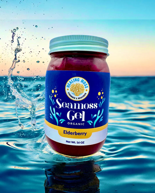 HEALING MOSS Sea Moss Gel - Elderberry