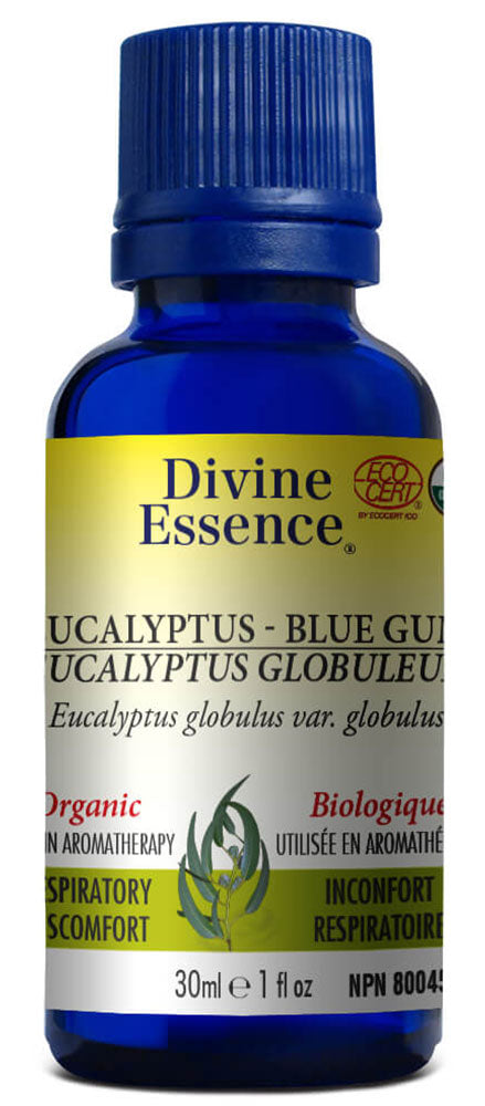 DIVINE ESSENCE Eucalyptus - Blue Gum (Organic - 30 ml)